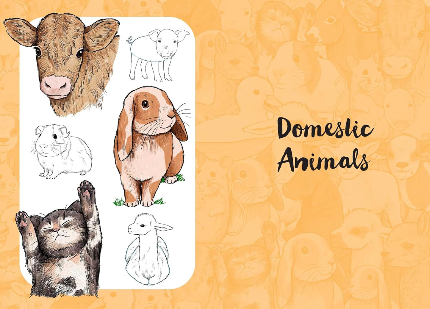 10 Step Drawing: Cute Animals