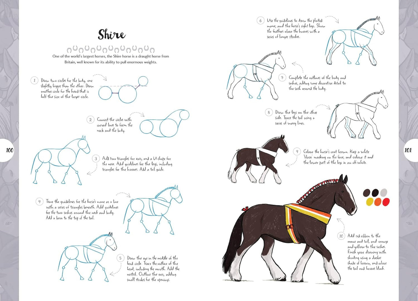 10 Step Drawing: Horses & Ponies