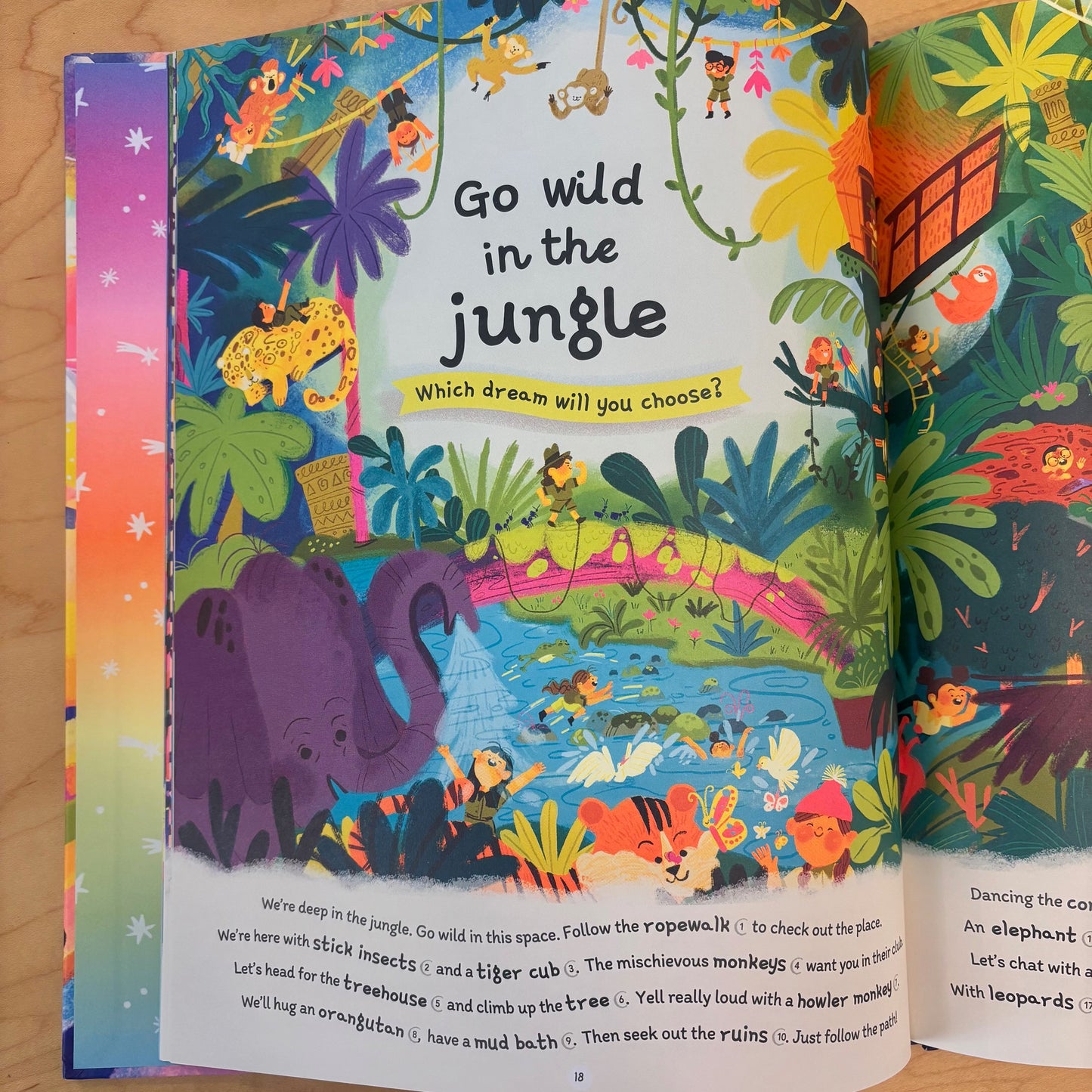 500 Dreams: A Bedtime Seek-And-Find