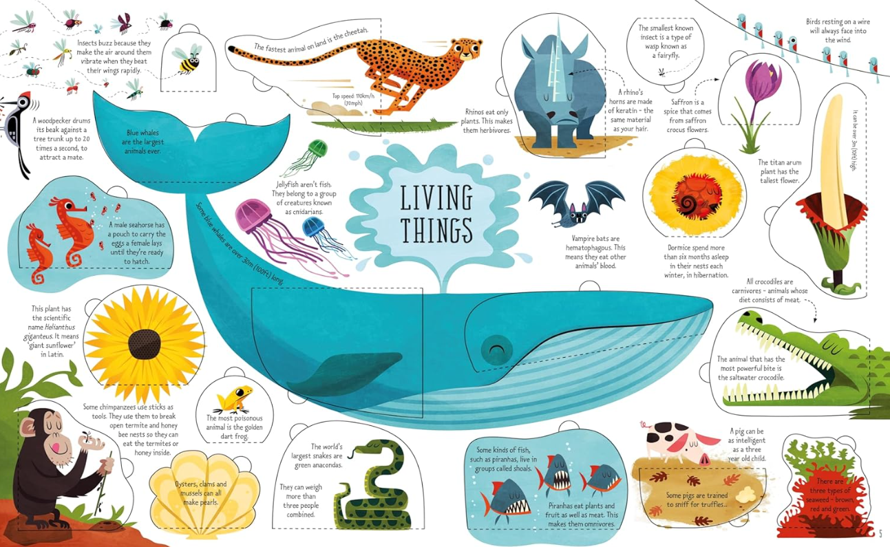 Usborne Lift-The-Flap General Knowledge