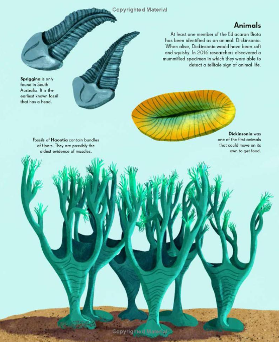 Tales of the Prehistoric World