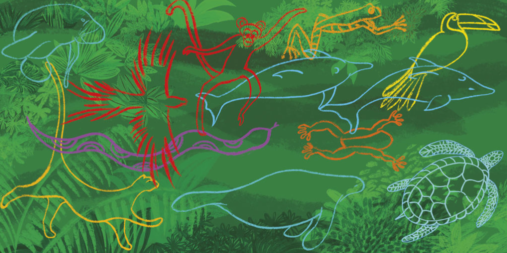 Colorful Mondays: A Bookmobile Spreads Hope in Honduras