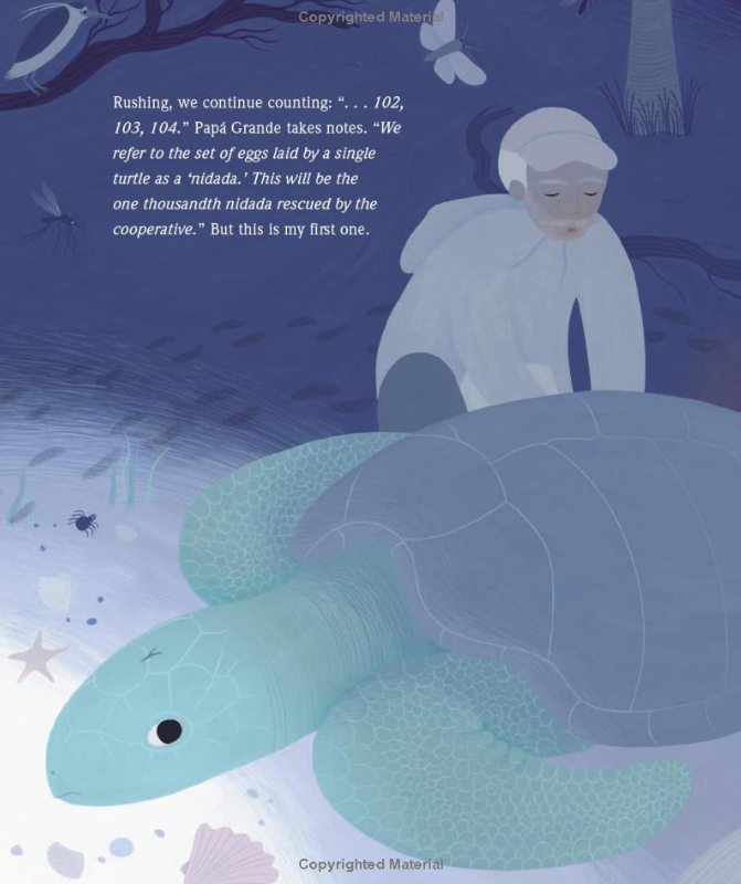 Pearls in the Sand: Protecting Sea Turtles in Oaxaca