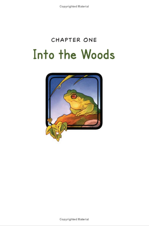 Magic Tree House Graphic Novel #1: Dinosaurs Before Dark