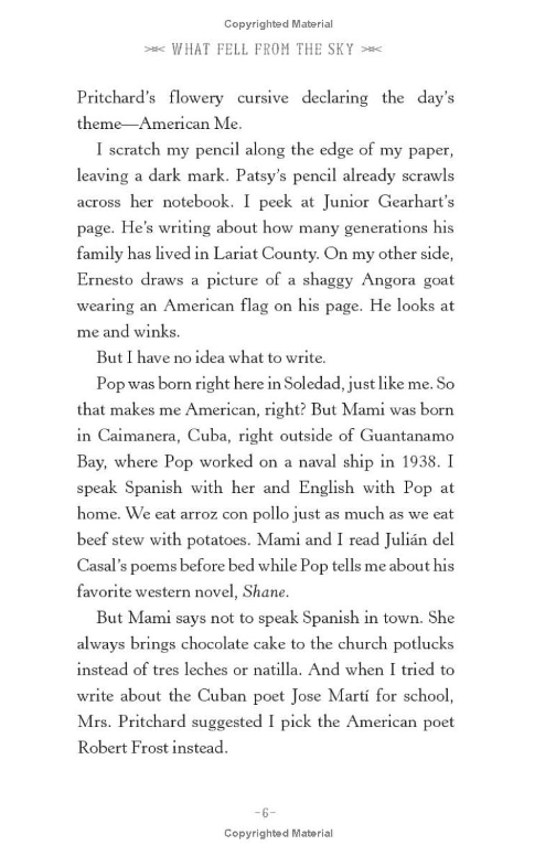 What Fell From the Sky