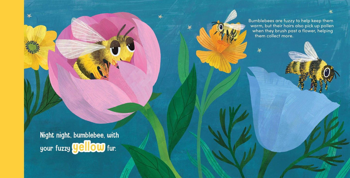 Night Night Ladybug