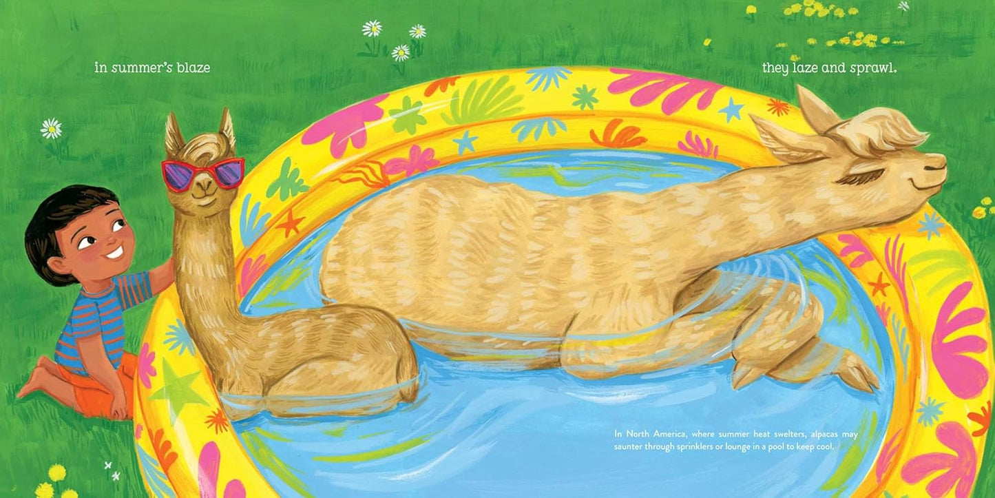 Alpacas Here, Alpacas There