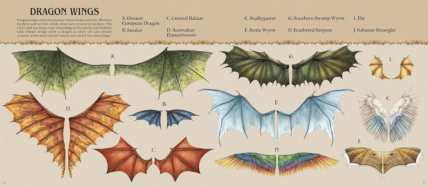 A Natural History of Dragons