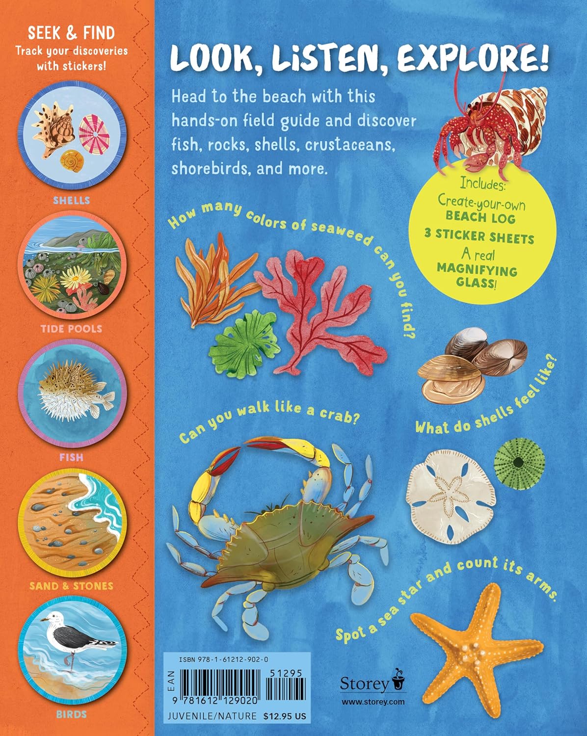 Backpack Explorer: Beach Walk