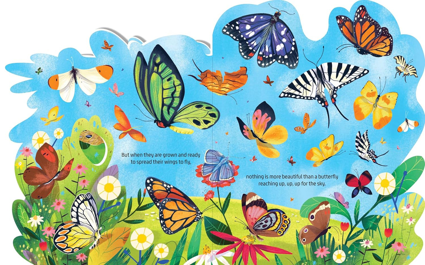 Beautiful Butterflies: Layered View