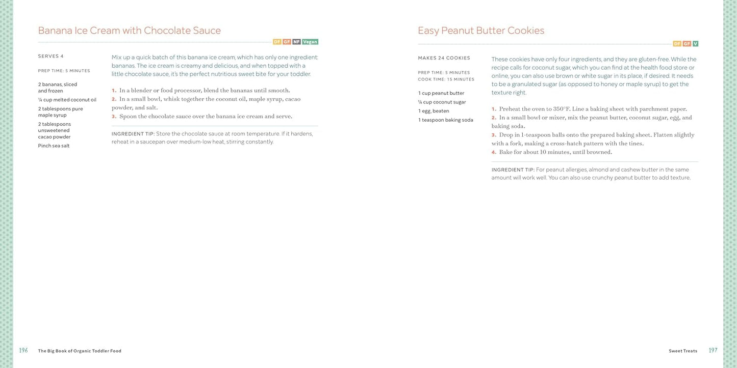 The Big Book of Organic Toddler Food
