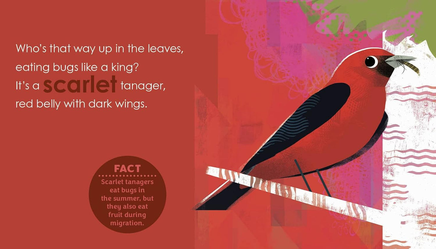 Birding for Babies: Migrating Birds: A Colors Book