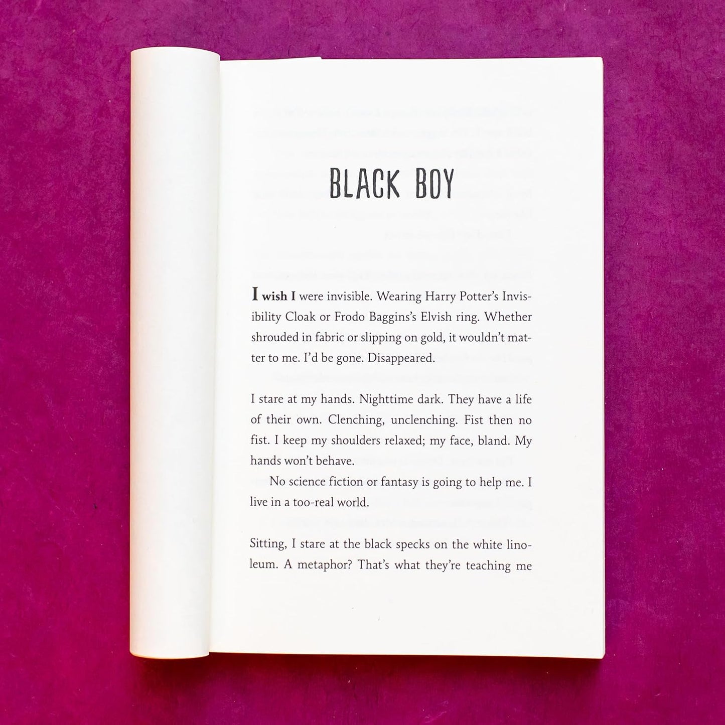 Black Brother, Black Brother