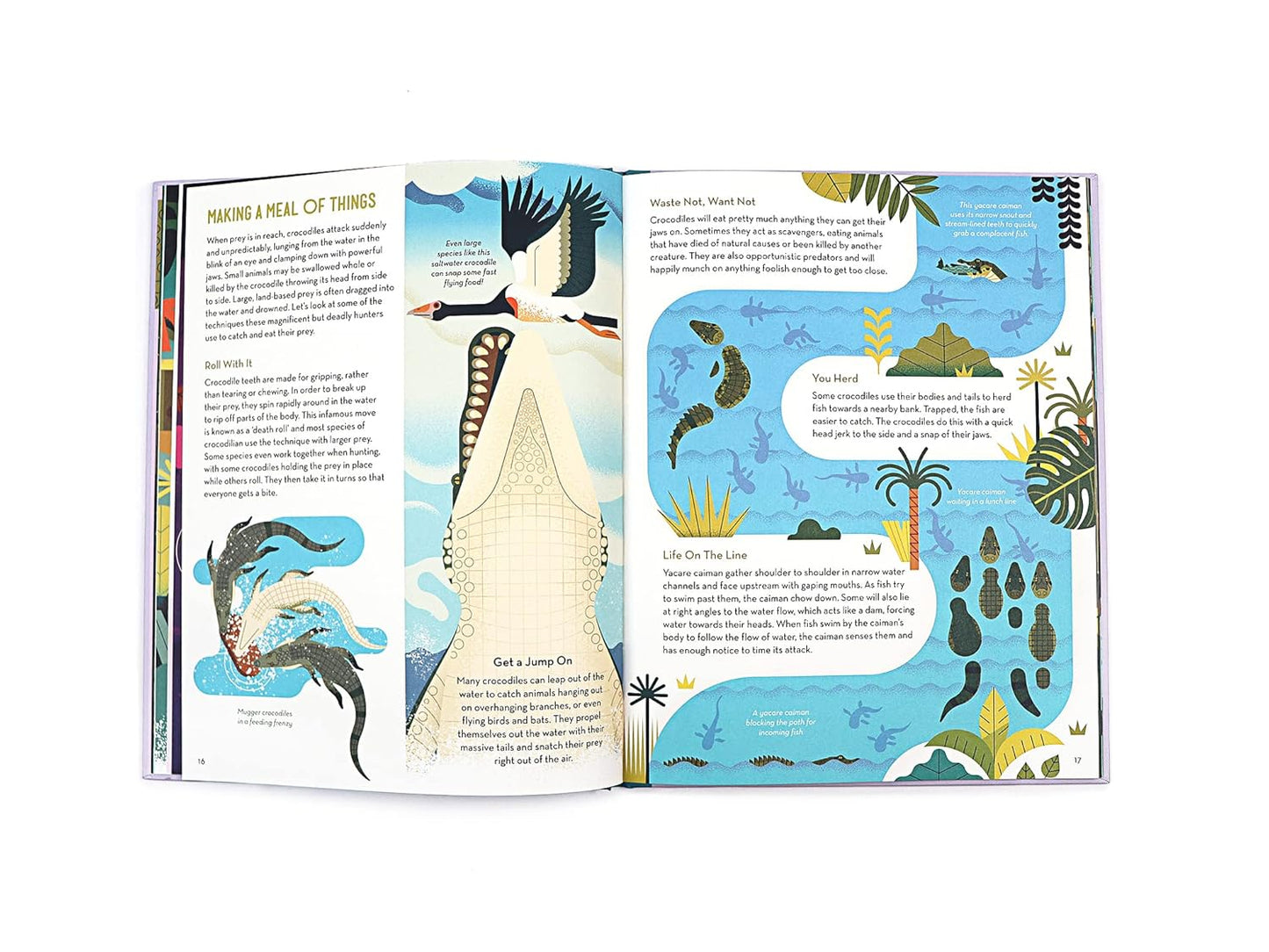 Curious about Crocodiles