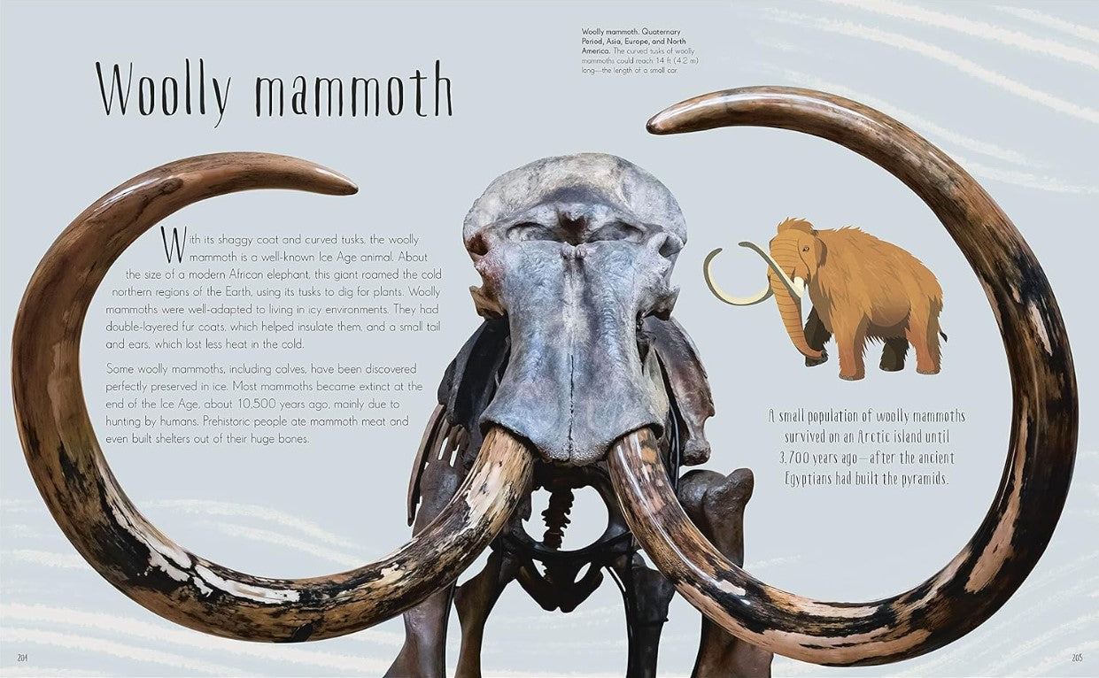 Dinosaurs and Other Prehistoric Life