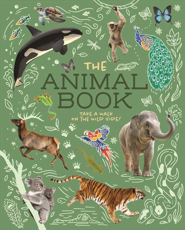 The Animal Book by Leach,Lland: Paperback; 128 pages / English