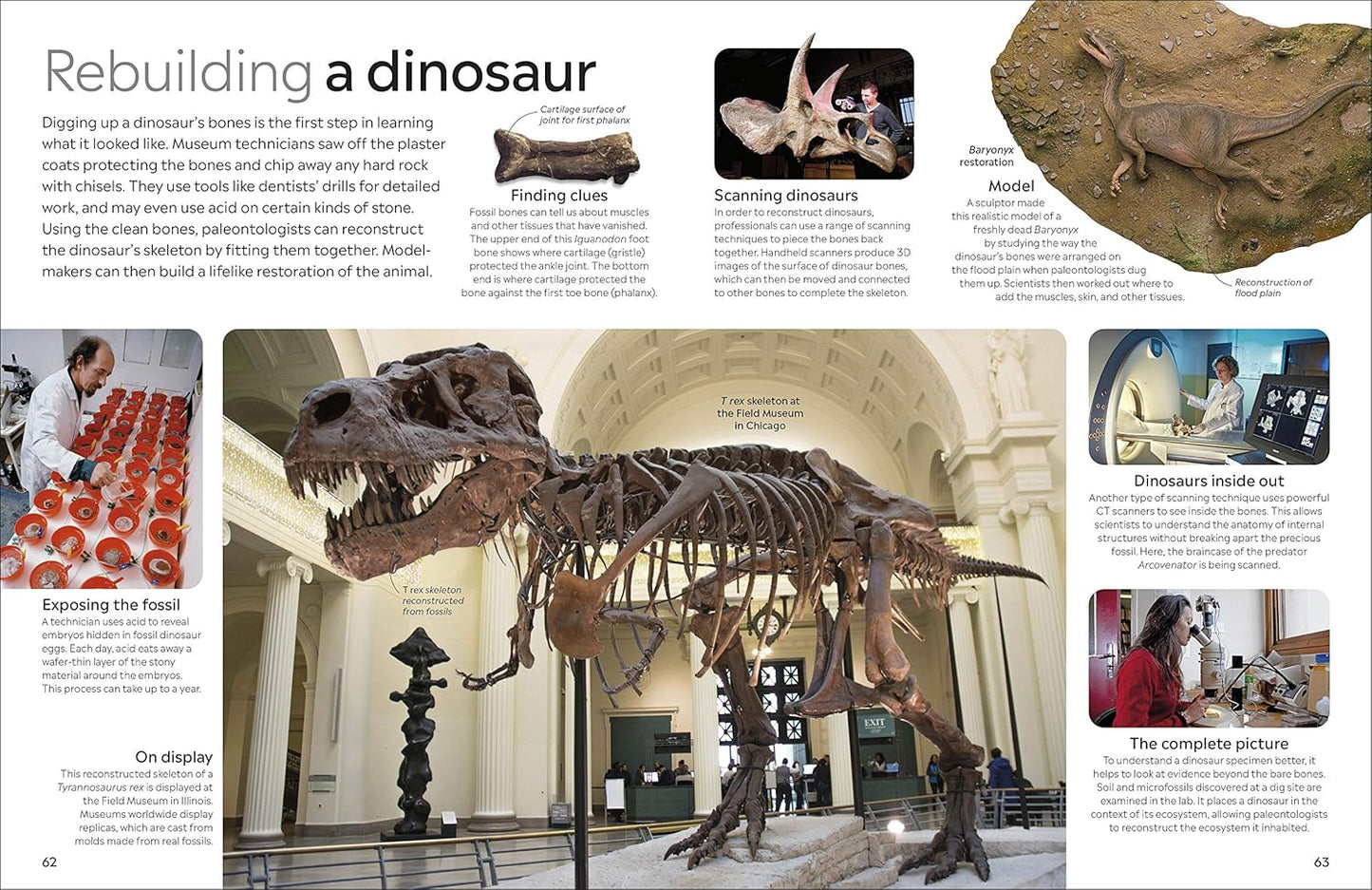 Eyewitness Dinosaurs