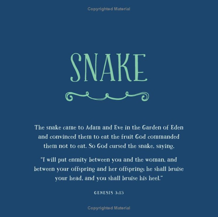 Baby Believer: From Eden to Bethlehem: An Animals Primer