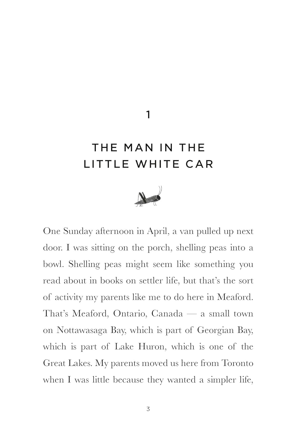 Hans Christian Andersen Lives Next Door