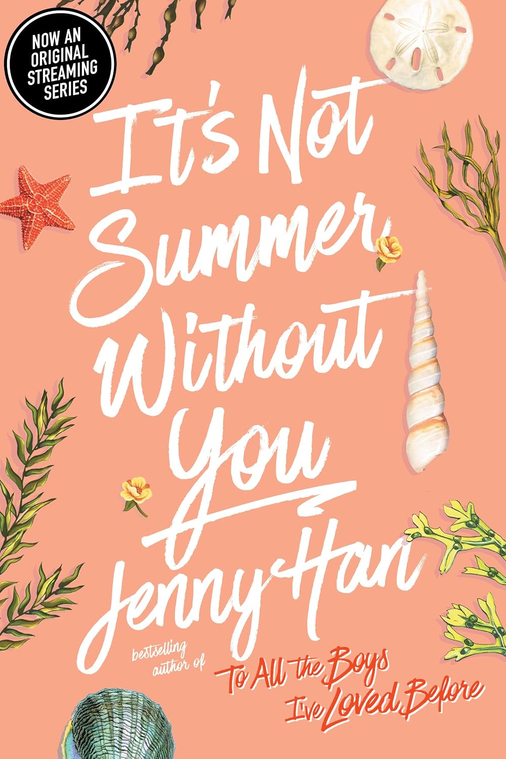 The Summer I Turned Pretty 2: It's Not Summer Without You