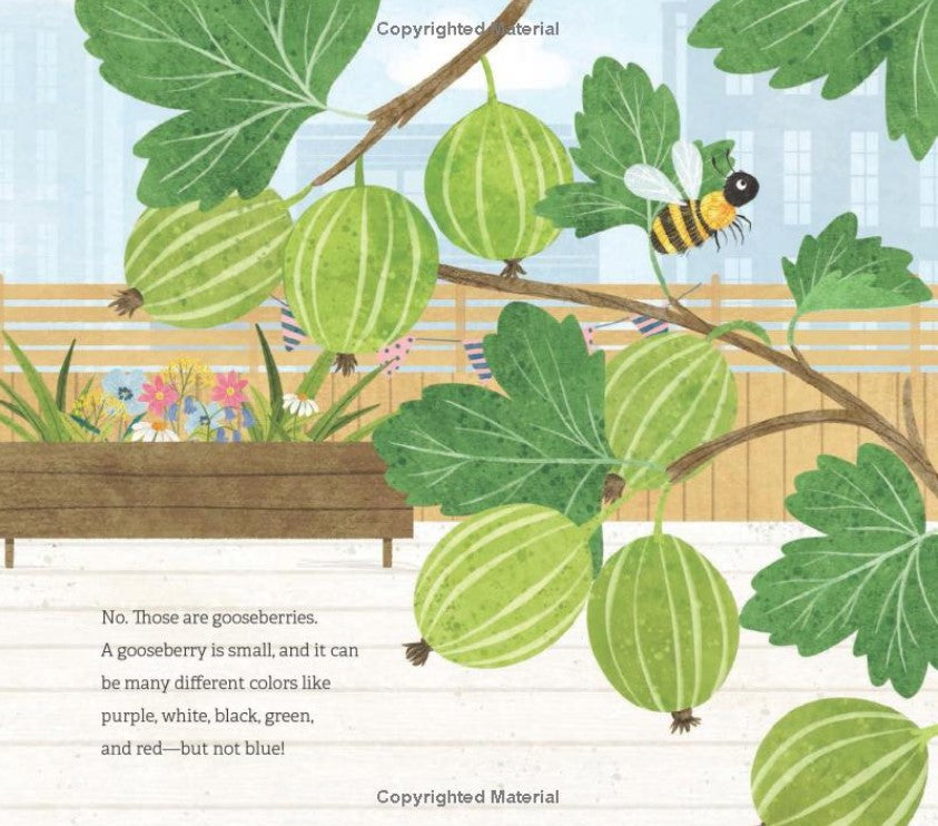 Where in the Garden?: Linh's Rooftop Garden