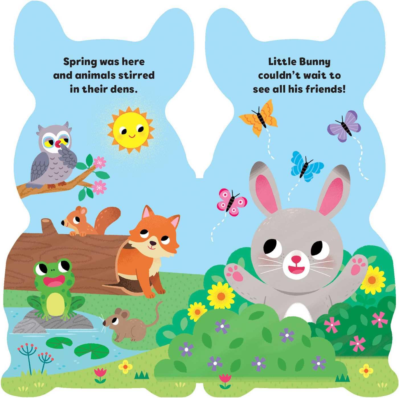 Little Shaped Board Books: Little Bunny