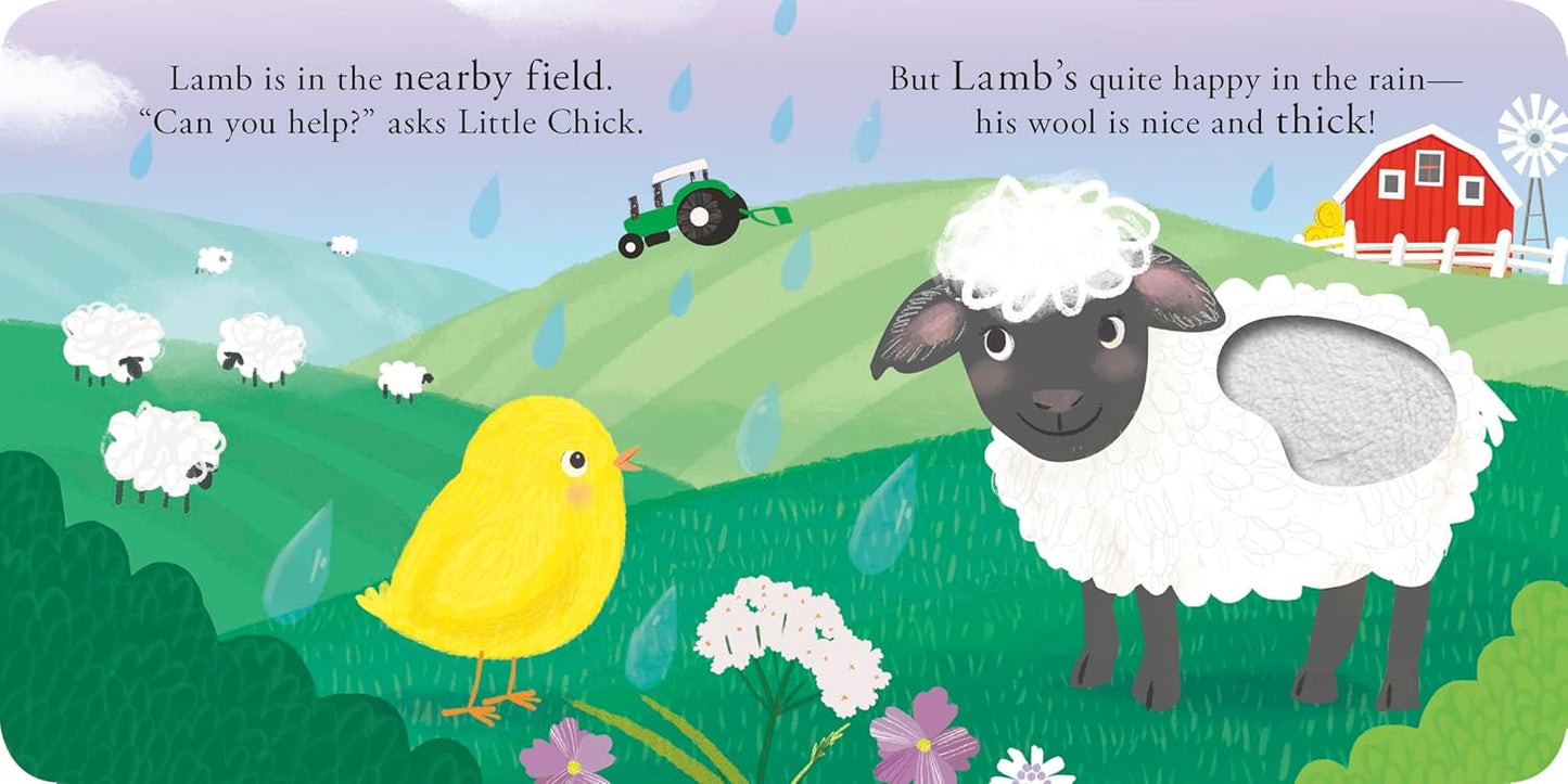 Little Chick: A Touch-and-Feel Book