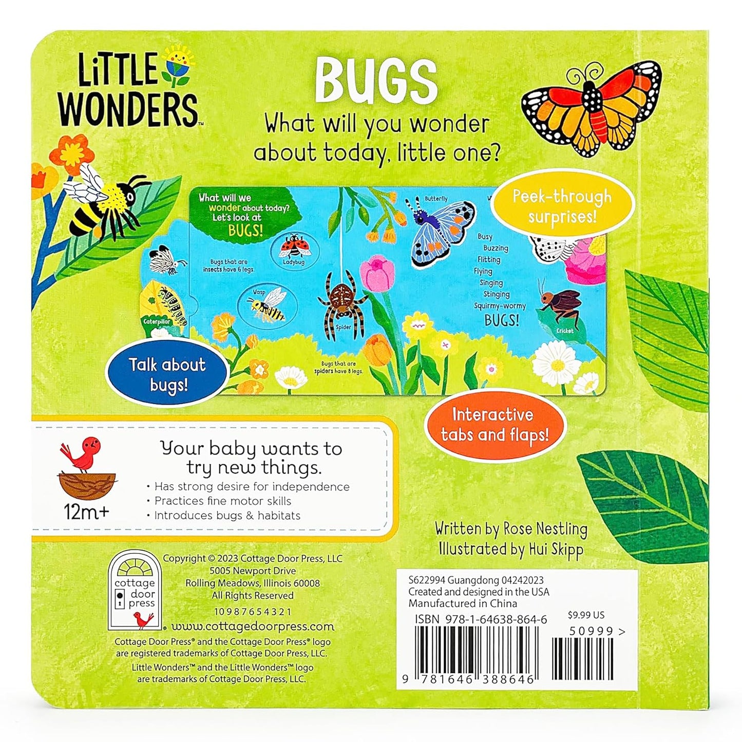Little Wonders: Bugs