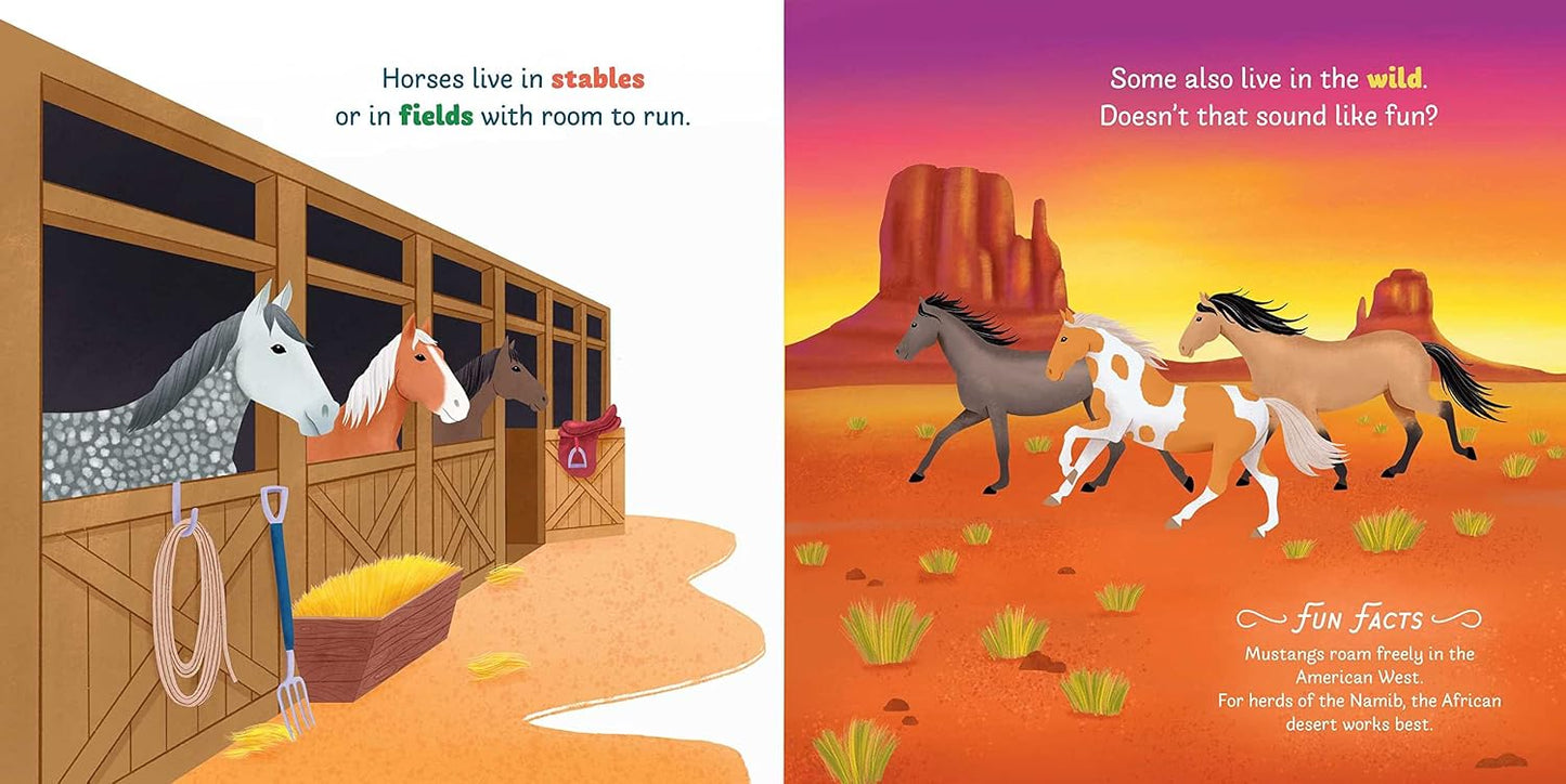 Little Genius: Horses