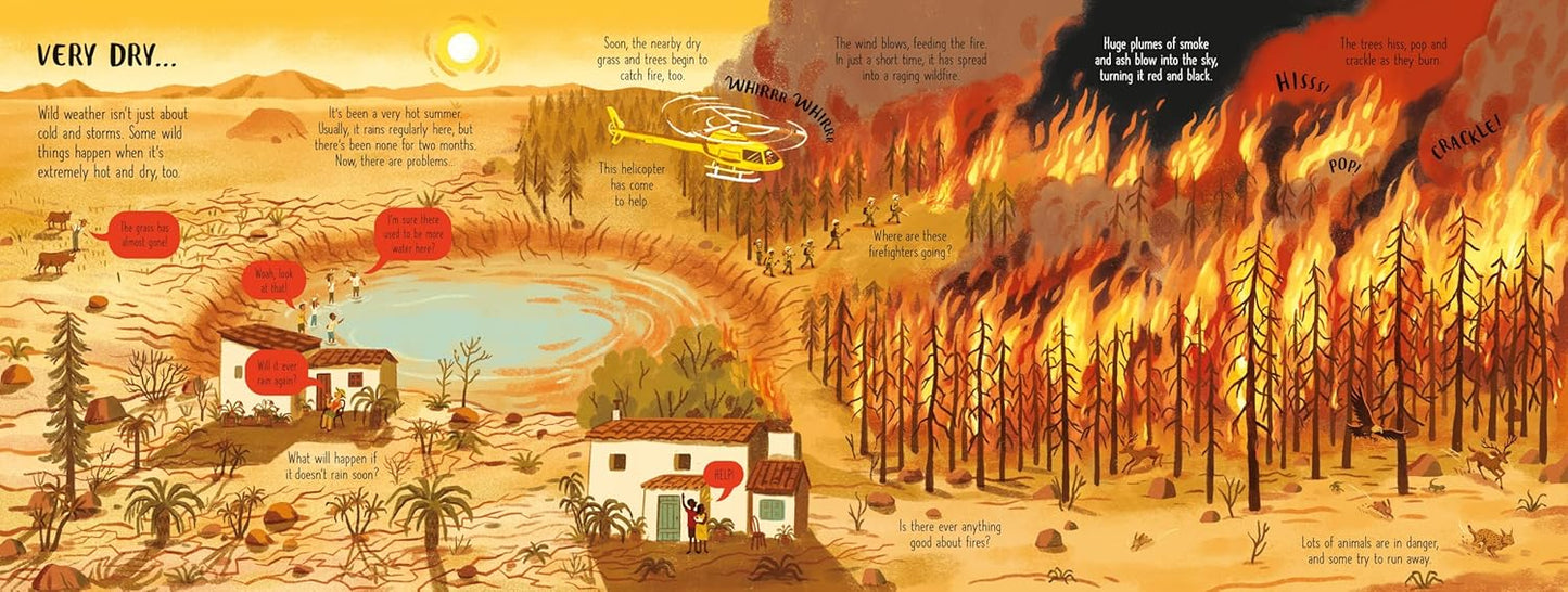 Look Inside Wild Weather