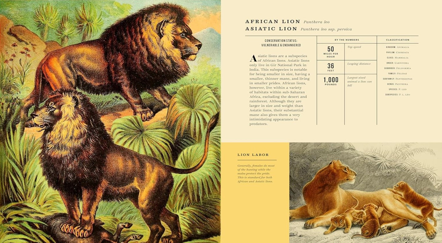 Mammalia: An Illustrated Guide to the World of Mammals