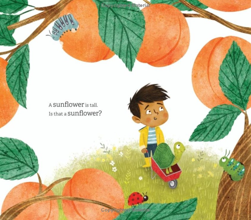 Where in the Garden?: Miguel's Community Garden