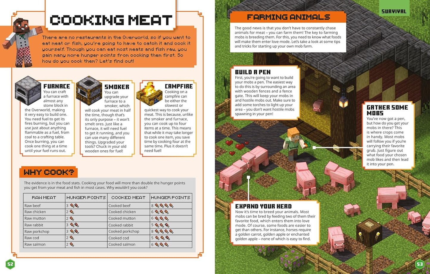 Minecraft: Beginner's Guide