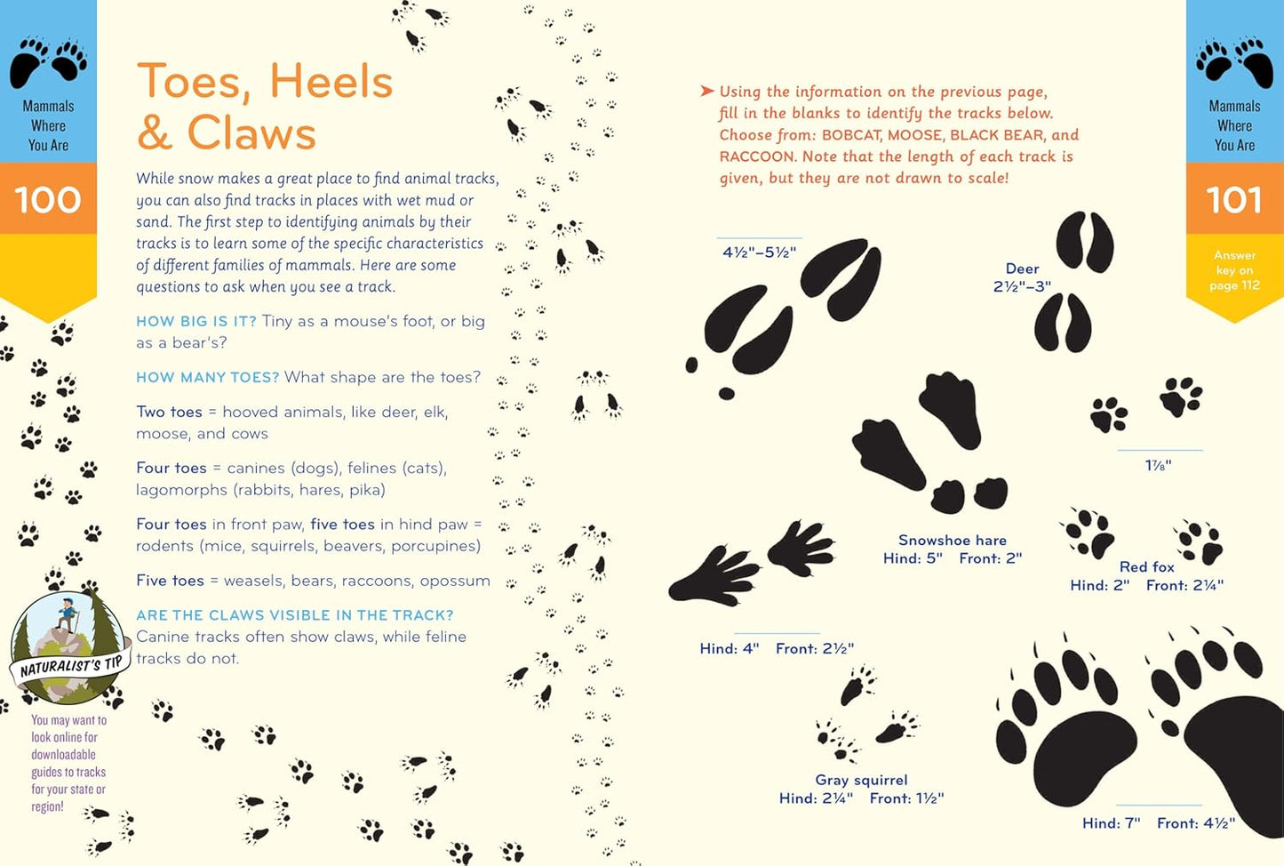 Nature Smarts Workbook: Ages 10-12