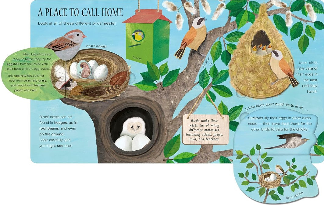 One Little Egg: Exploring Nature for Curious Kids