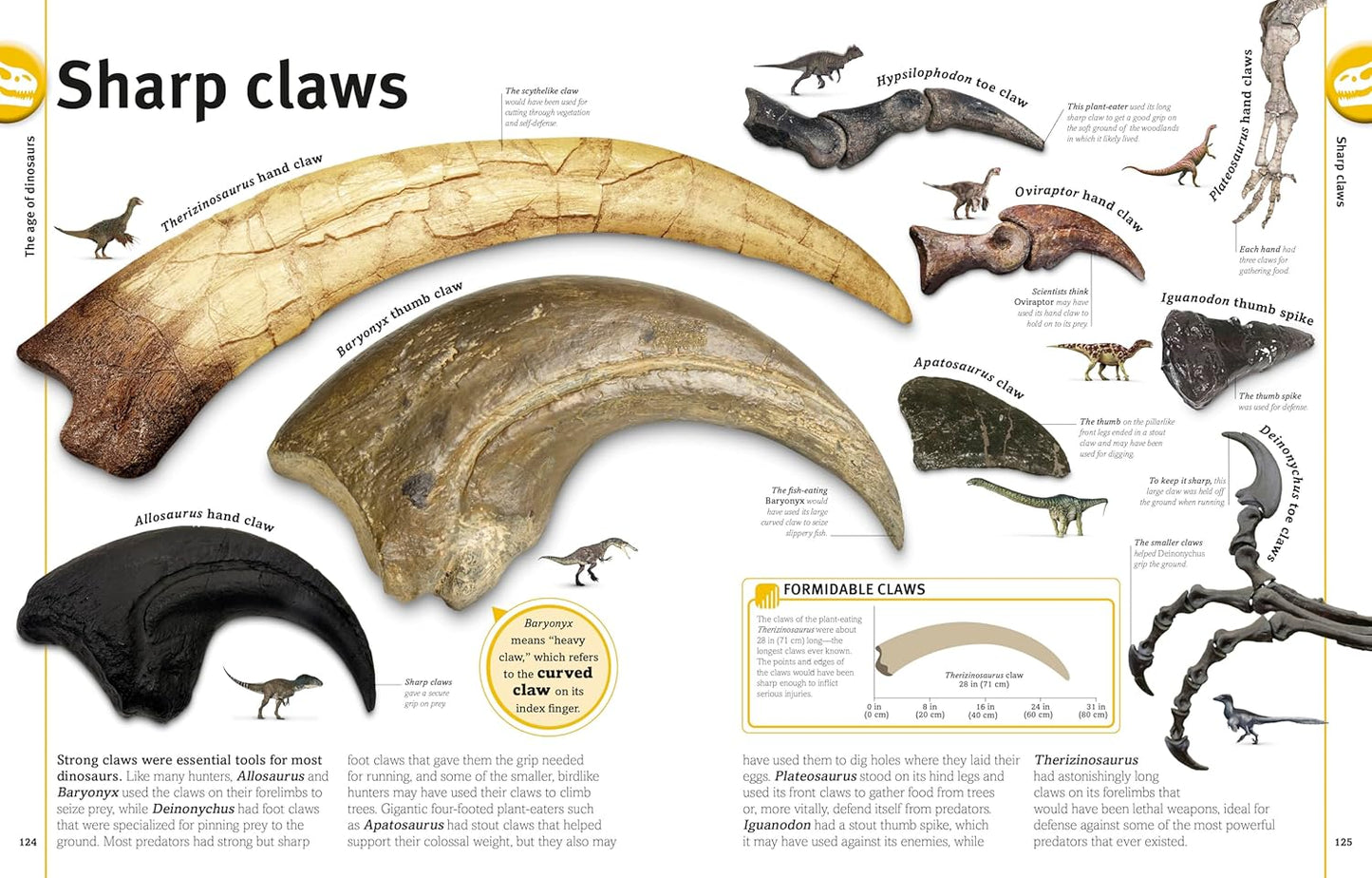 Our World in Pictures: The Dinosaur Book