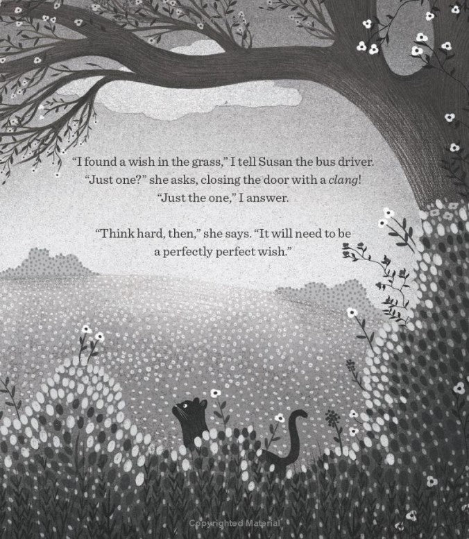 The Perfectly Perfect Wish