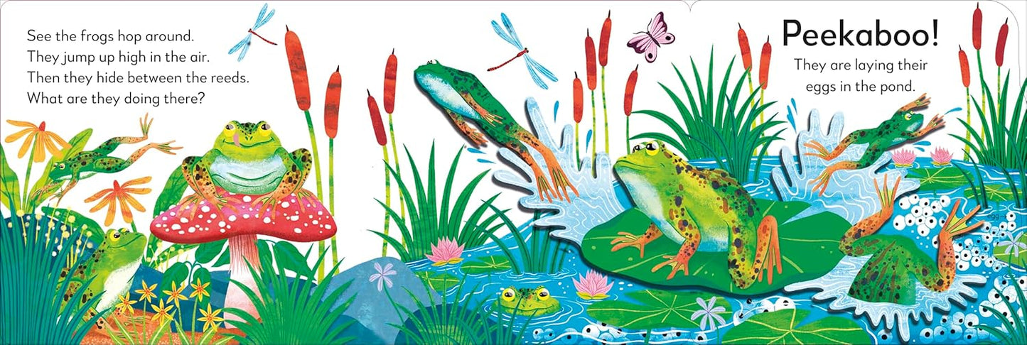 Pop-Up Peekaboo! Frog