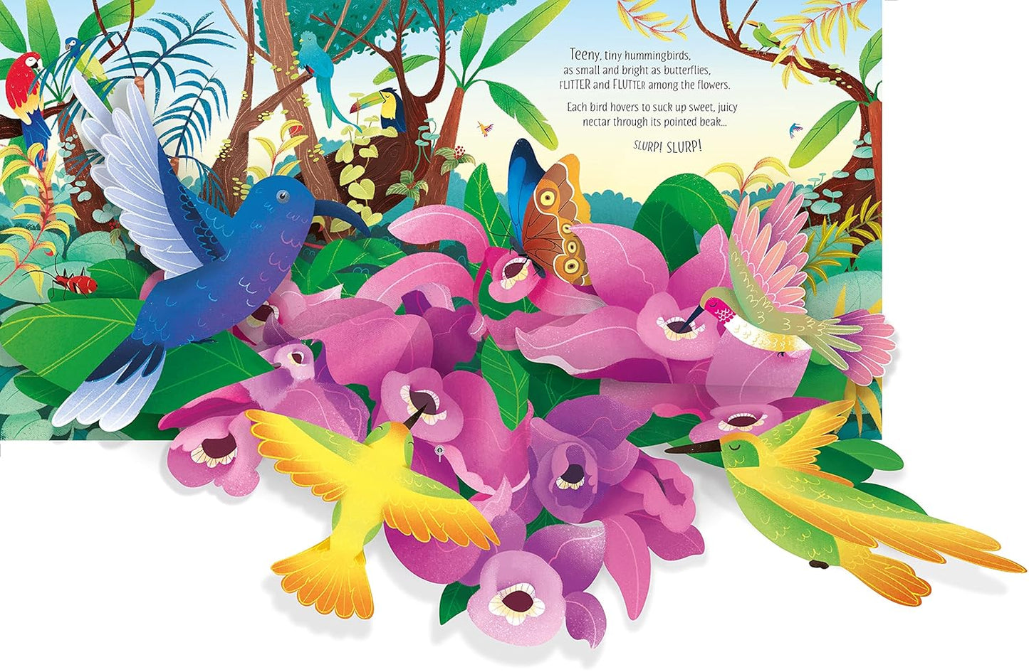 Usborne Pop-Up Birds