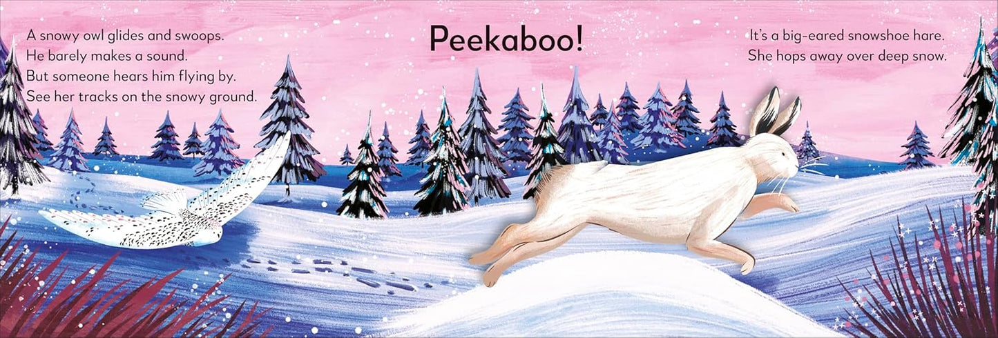 Pop-Up Peekaboo! Winter