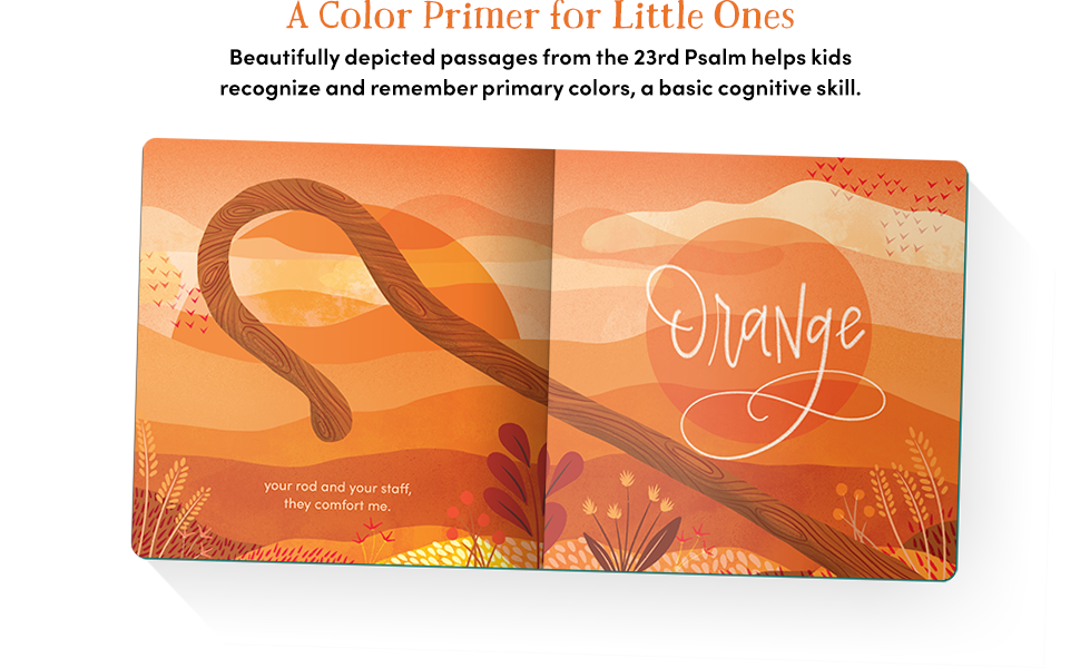 Baby Believer: Psalm 23: A Colors Primer