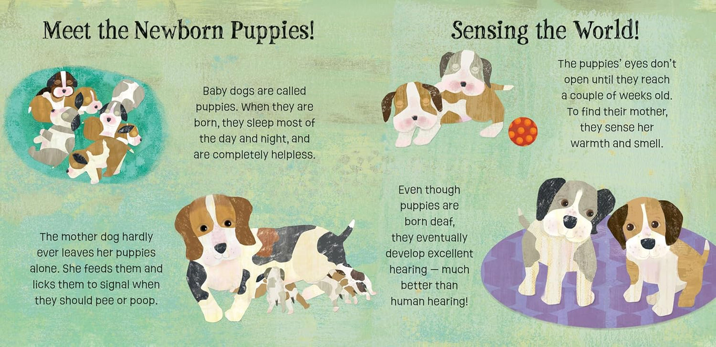 Puppies Know & Grow