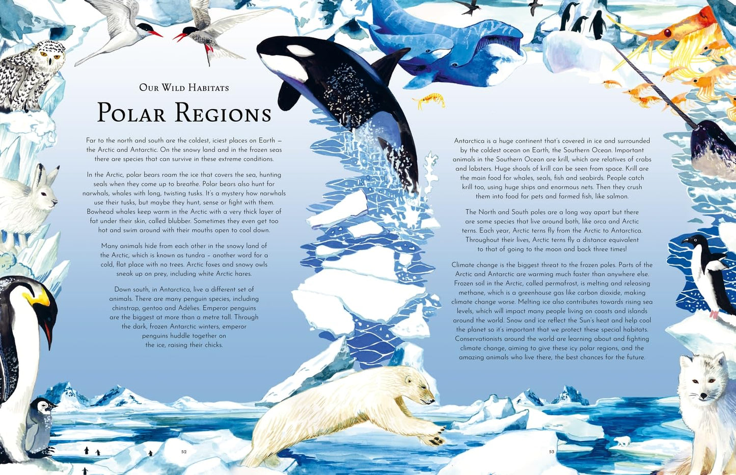 Return of the Wild: 20 of Nature's Greatest Success Stories