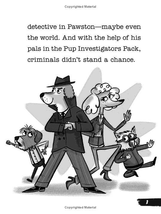 Rider Woofson #1: The Case of the Missing Tiger's Eye