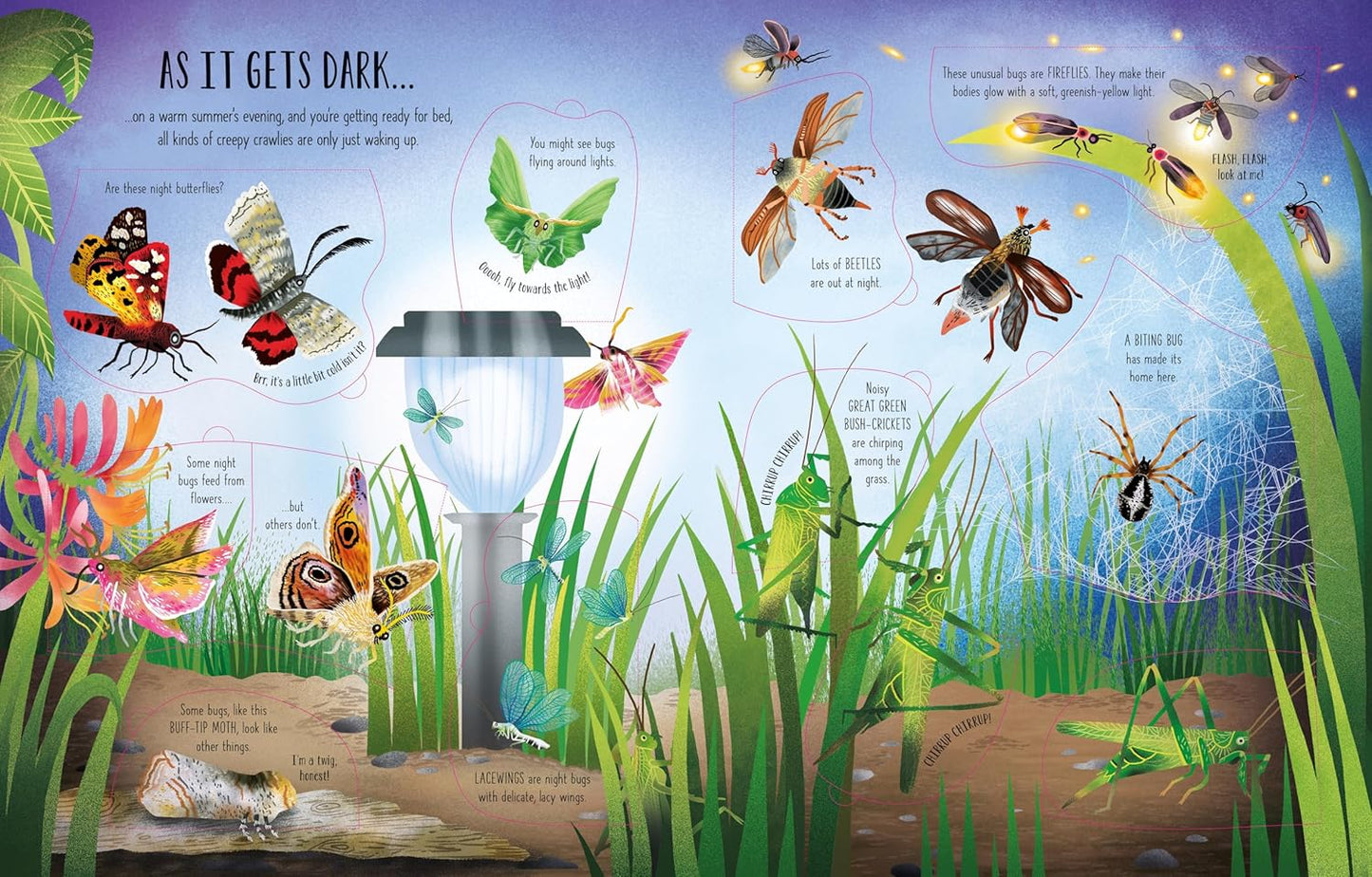 See Inside Bugs and Butterflies