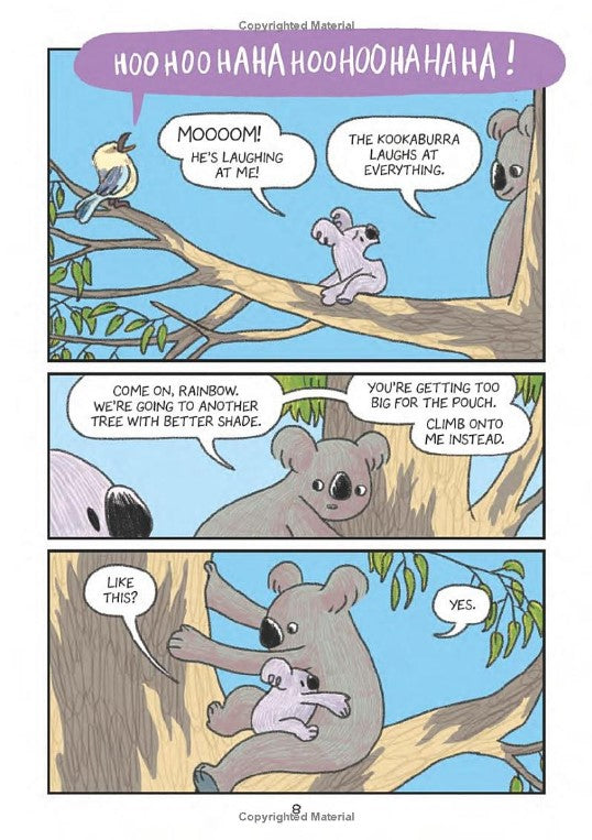 Surviving The Wild: Rainbow the Koala
