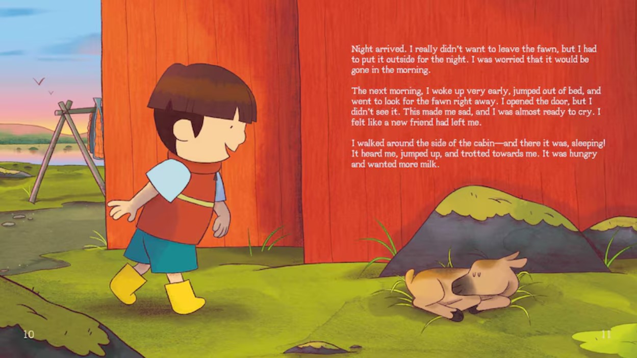 Wild Arctic Friends: The Fawn