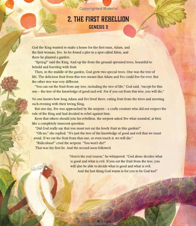 The Kingdom and the King Storybook Bible