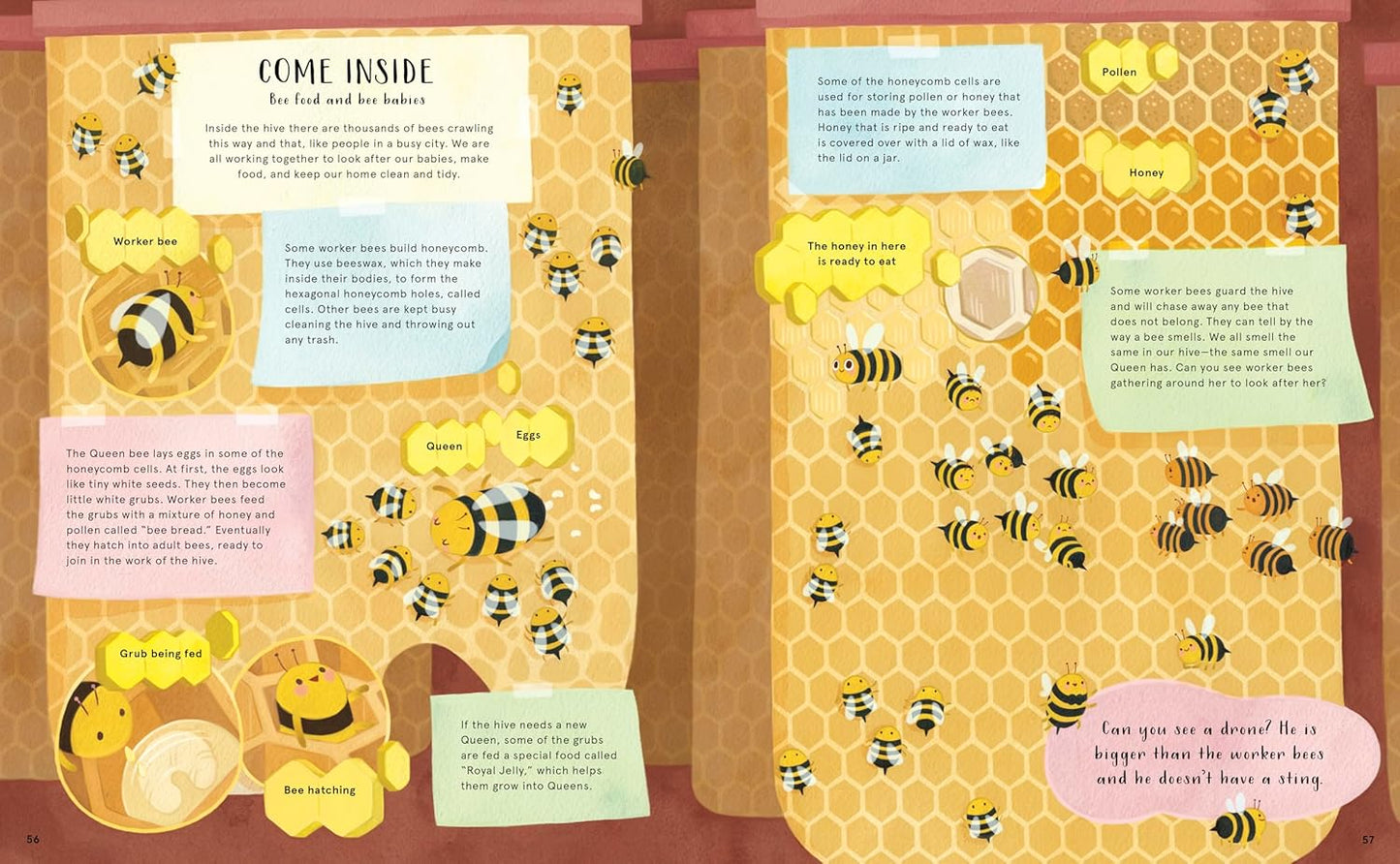 The Secret Life of Bugs, Bees, & Trees