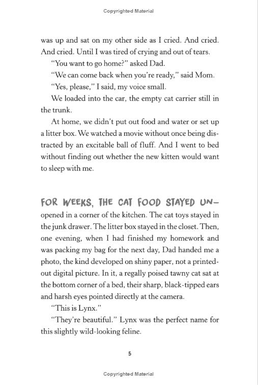 This Is Our Rainbow: 16 Stories of Her, Him, Them, and Us